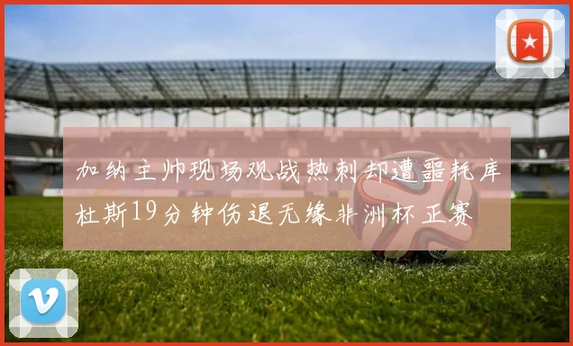 加纳主帅现场观战热刺却遭噩耗库杜斯19分钟伤退无缘非洲杯正赛